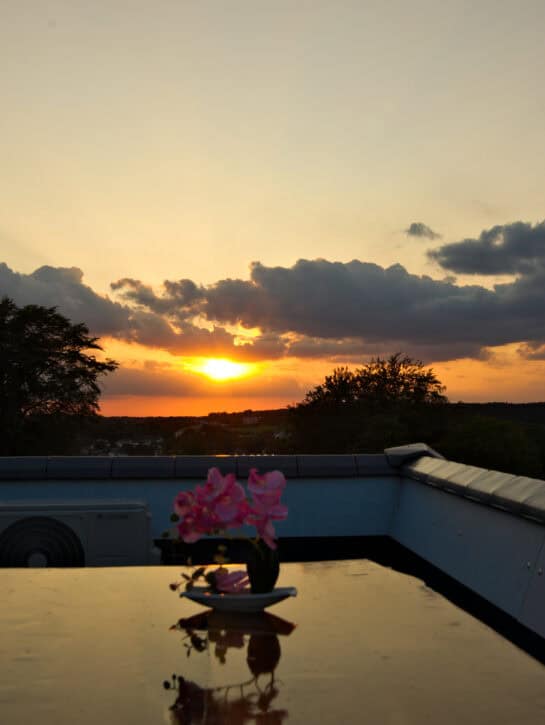 Terrasse-Penthouse-Schlossappertements (3)